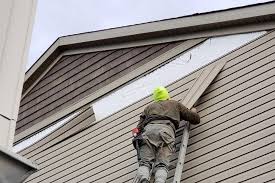 Best Vinyl Siding Installation  in Wedgefield, SC